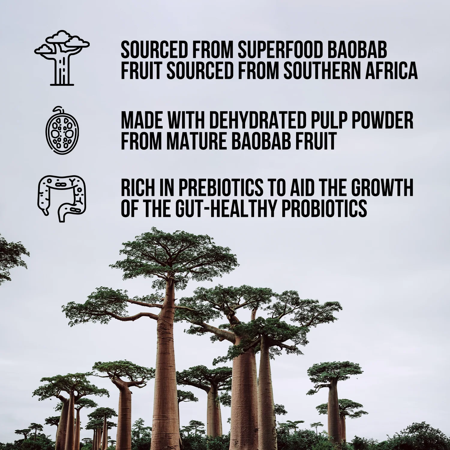 Organic Fiber Supplement | Naked Fiber - Image 2
