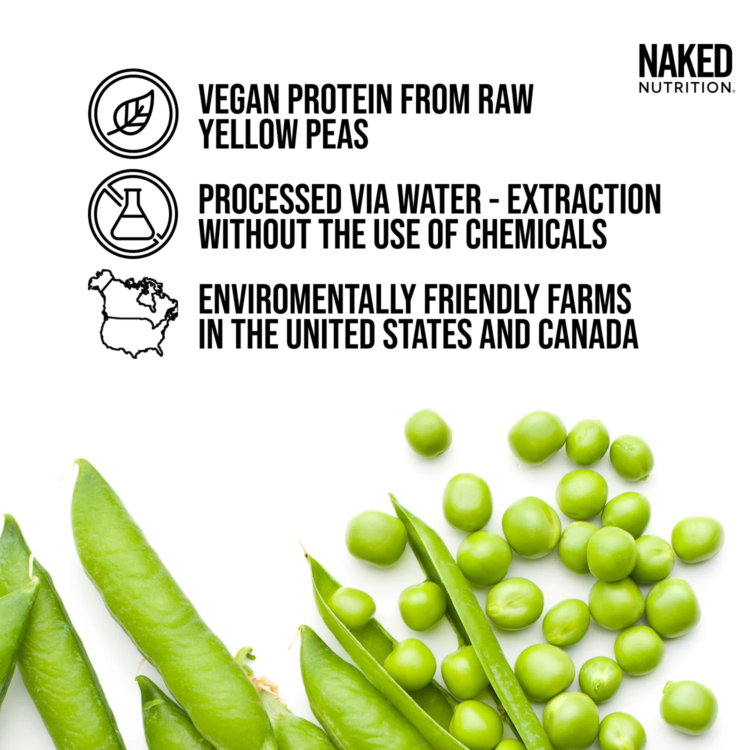 Pea Protein Powder 1lb | Naked Pea - 1lb - Image 2