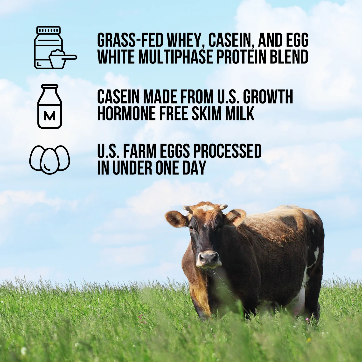 Protein Powder Blend - 1LB Egg, Whey & Casein Protein Blend | Naked Protein - 1lb - Image 2