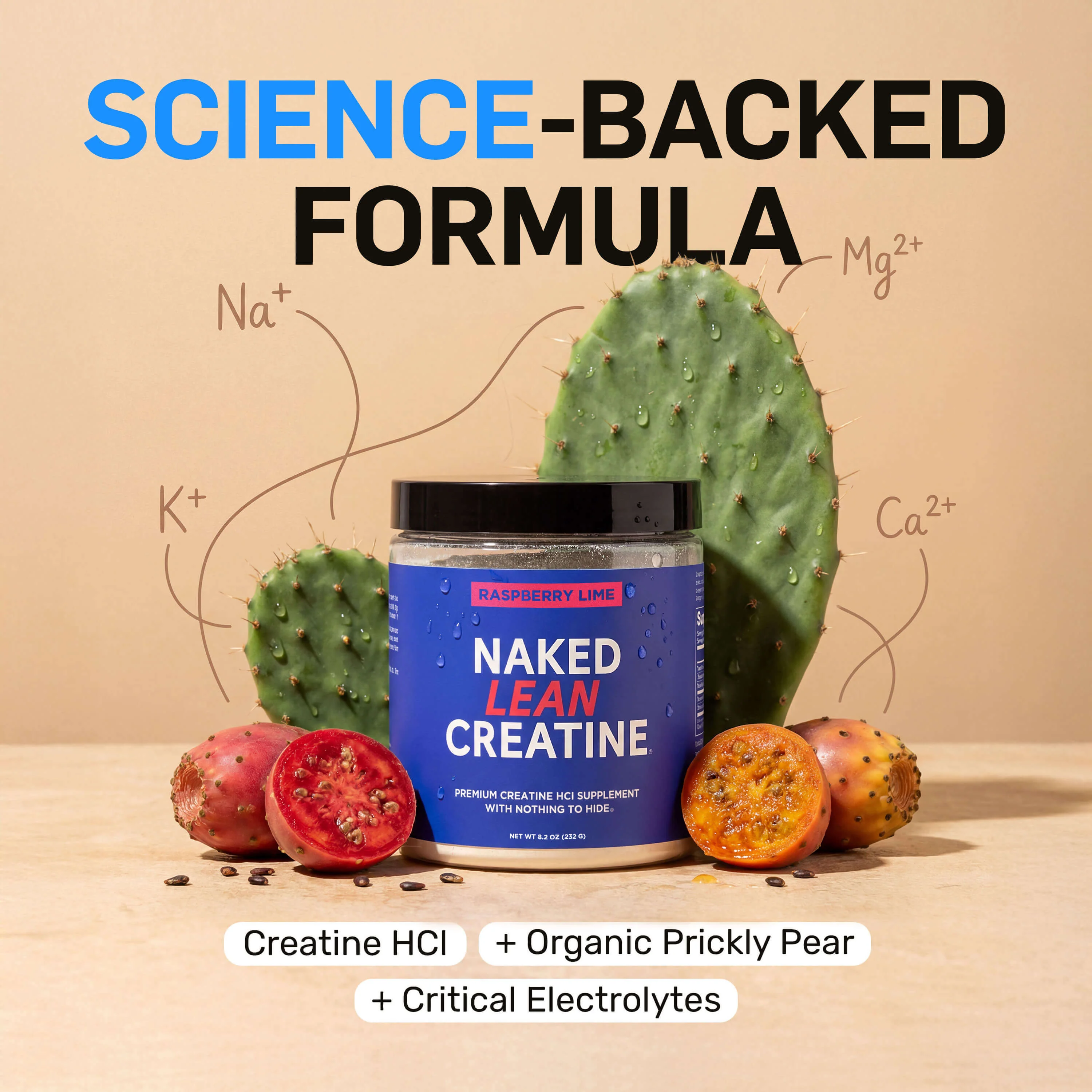 Raspberry Lime Creatine HCl Powder | Naked Lean Creatine - 231g - Image 3